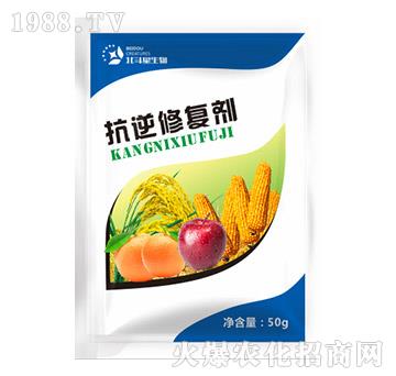 �����ޏ�(f��)��-������