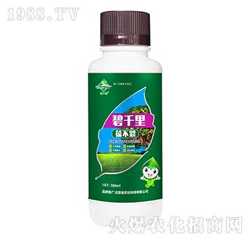 �̸����᲻��-���r(n��ng)�_