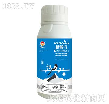 �ߝ�s�����ЙC�}-�Ǵ��}-ϲ�ϼ�