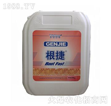 ����-��?t��ng)����? />
                                </div>
                            </div>
                            
                            <style type=