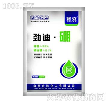 �ŵϡ���-ِ��-�_(t��i)�_(d��)