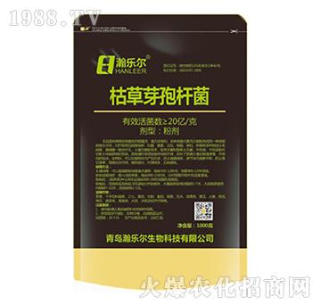 �ݲ�ѿ�ߗU��-嫘���