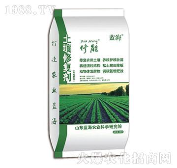 �����ޏ̈́�-����-�{��