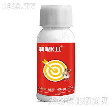 5%��x��-����K11