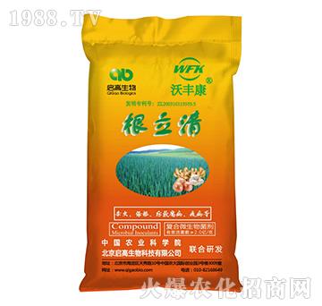 �ͺ�΢�������-������-���S��-��������