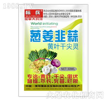 �[�������S�~�ɼ��`-�˱�-���S��