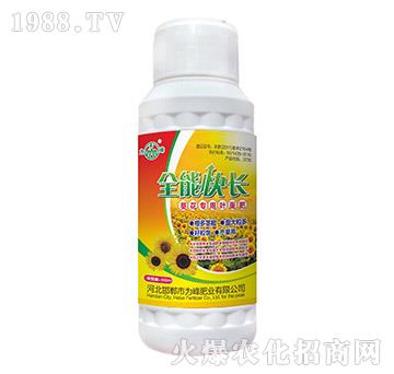 ���������~���-ȫ�ܿ��L(zh��ng)-���