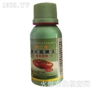 ���ь�(zhu��n)��-�������-��֮��-�R�Sֲ��