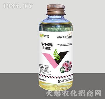 ���������������-�R�Sֲ��