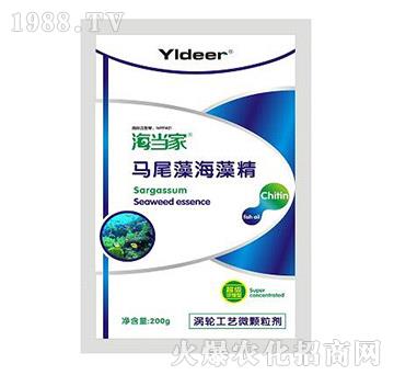 �Rβ�庣�徫-����(d��ng)��-��?t��ng)����? />
                                </div>
                            </div>
                            
                            <style type=