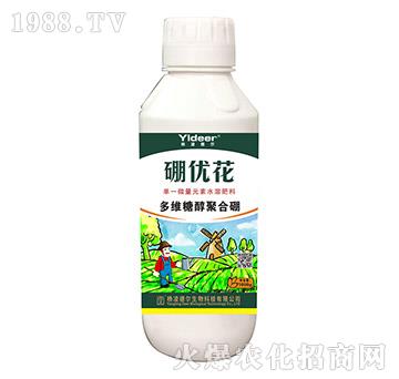 多維糖醇聚合硼-硼優(yōu)花-德?tīng)柹? />
</div>
</div>
<style type=