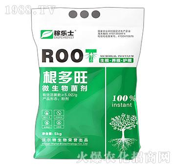 ΢�������-������-�ژ�ʿ