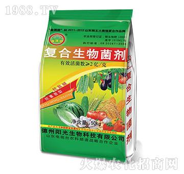 ��M(m��n)���(f��)������������G��-�(y��ng)������