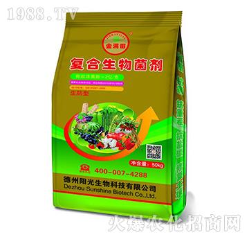 �����͏�(f��)���������-��M(m��n)��-�(y��ng)������