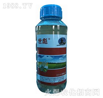 2.5%(li��n)������-����-�\(y��n)ʢ����