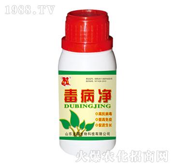 ������-��������