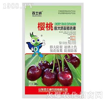 ������������ɫ��-��ʿ��