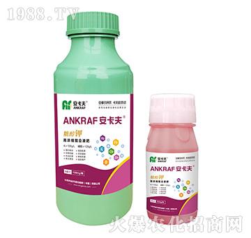 �Ǵ��-������