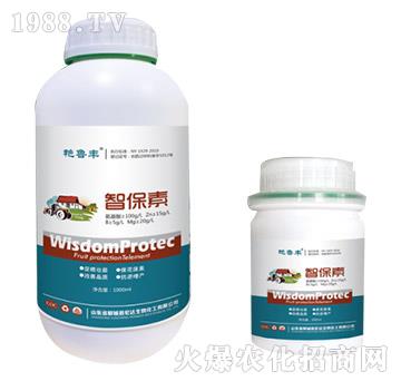 �Ǳ���-�G���S-���_����