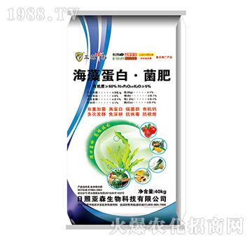 ���嵰�ס�����-��ɭ����