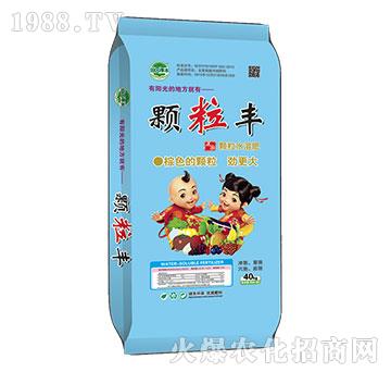 ���S����_ʩ����-�w���S-��@���S-���S�ʘI(y��)