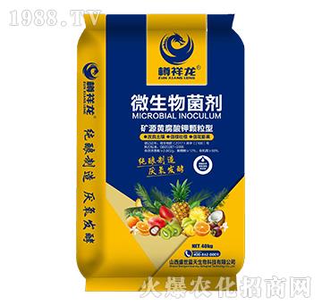 ΢�������-������-ʢ���{��