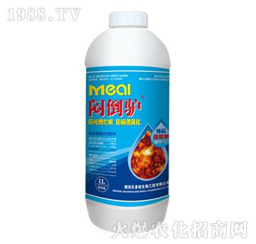 �����H��1L��-��(l��)����