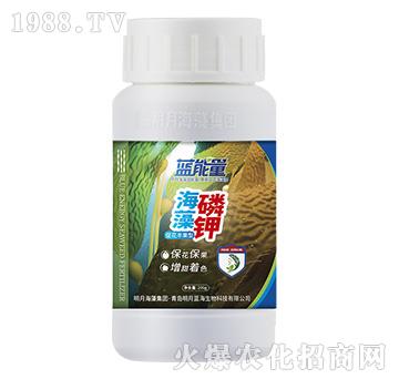 �������-�{����