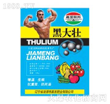 �ڴ��-�μ�