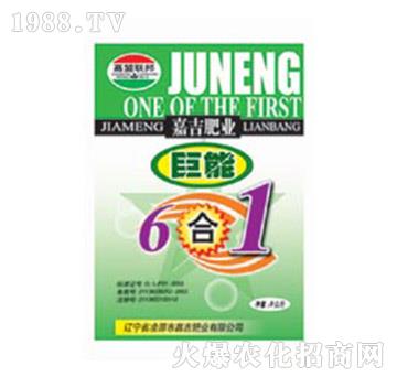 ����6��1-�μ�