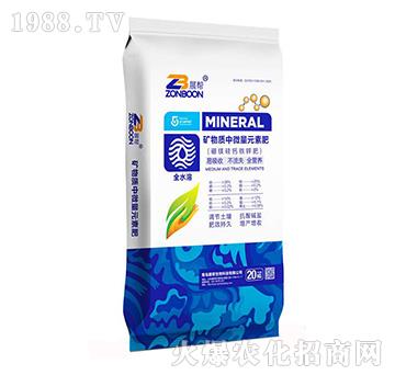 �V���|��΢��Ԫ�ط�-չ������