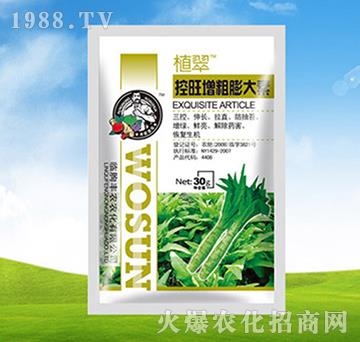 �������������-ֲ��-�S�r(n��ng)�r(n��ng)��