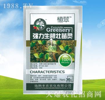 �������������`-ֲ��-�S�r�r��