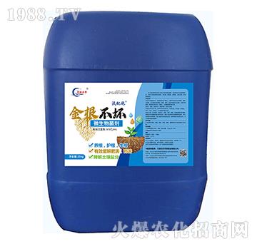 ΢�������-�������-�S�T�ʘI(y��)