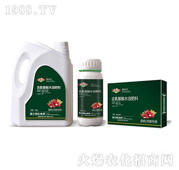 ��֦�����ی��ú�������