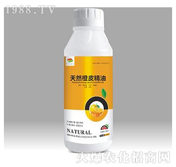 ��Ȼ��Ƥ����-��������