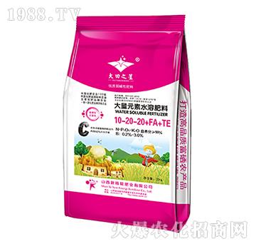 ����Ԫ��ˮ�ܷ���10-20-20+TE-����֮��-�º���