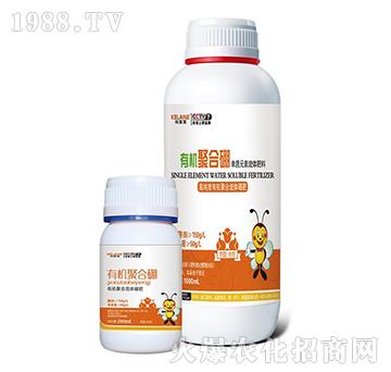 �ЙC�ۺ���-�W���r(n��ng)�I(y��)