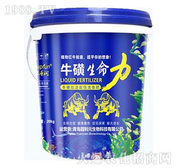 ����������-�@��Ԫ