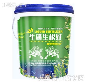 ����������-�@��Ԫ