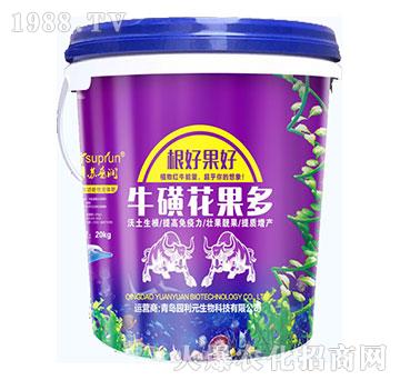 ���ǻ�����-�@��Ԫ