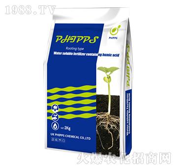 Ӣ���M(j��n)�ڷ�����˹������-���r(n��ng)�S