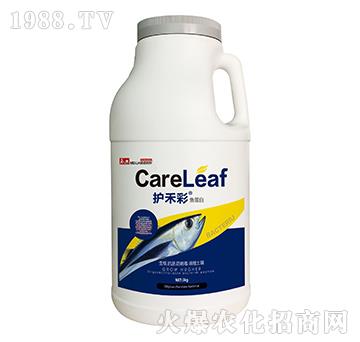 �~����-�o�̲�-������A