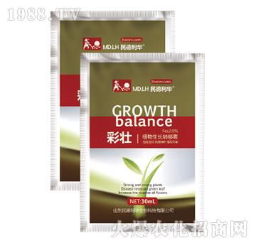 ֲ�����L�D(zhu��n)����-�ʉ�-������A