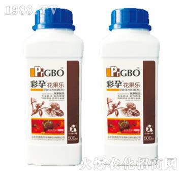 ���������_ʩ��΢�������-������-����-������A