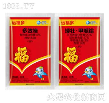 ������(zhu��n)���{(di��o)��(ji��)��-�h(yu��n)����-��������