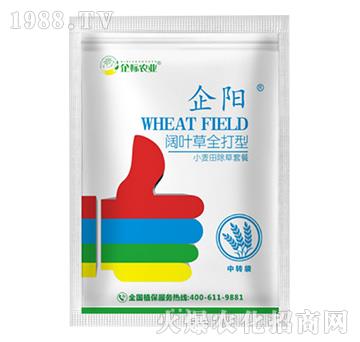 С������~�ݳ����ײ�-���-���