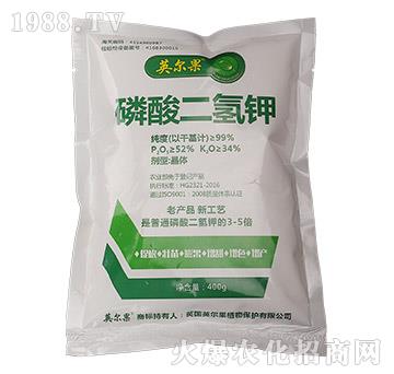 400g��������-Ӣ����