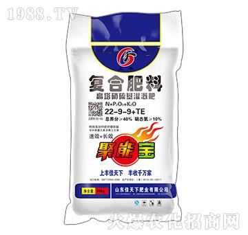 �����������ȏ�(f��)�Ϸ���22-9-9+TE���S-������