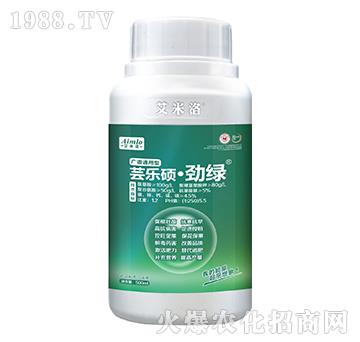 �V�Vͨ�����|���T���žG-������